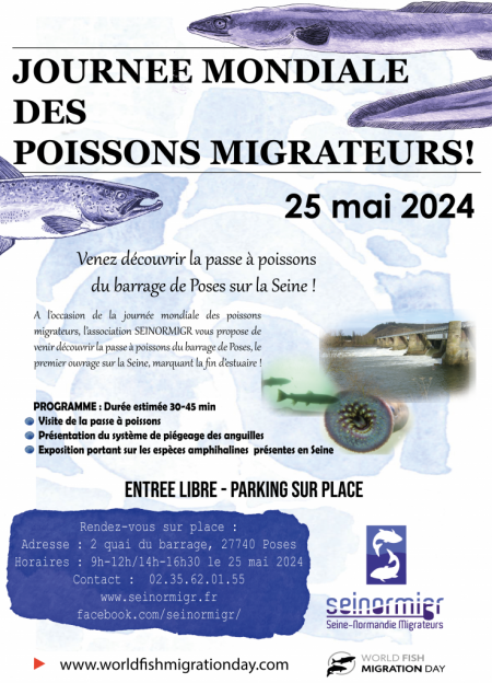 Journée mondiale des migrateurs 2024 !